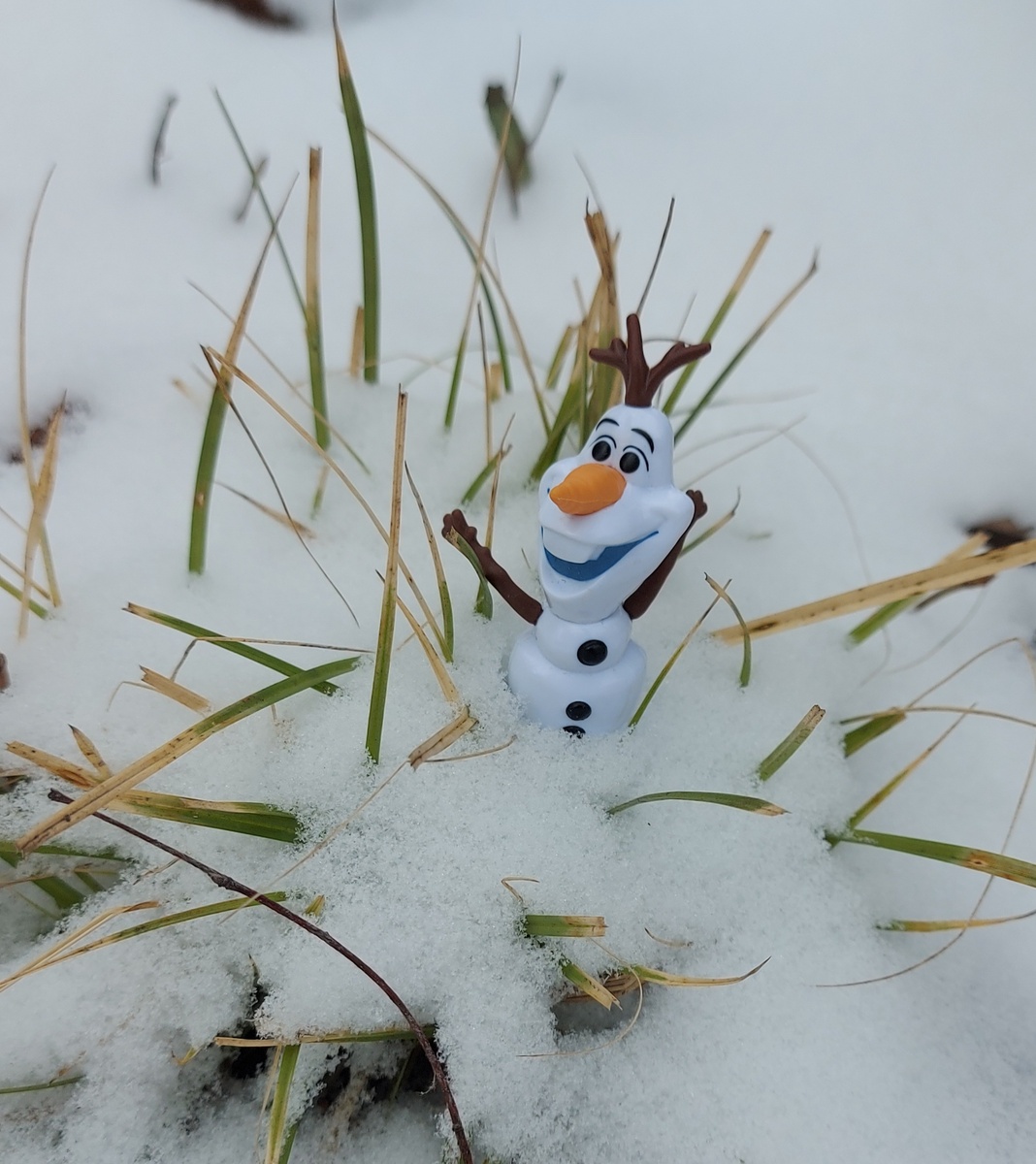 Олаф и его подружка Зима