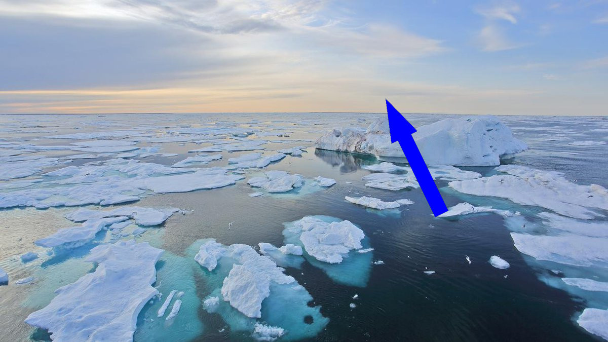    Снежинка: Дрейфующие станции на краю мира