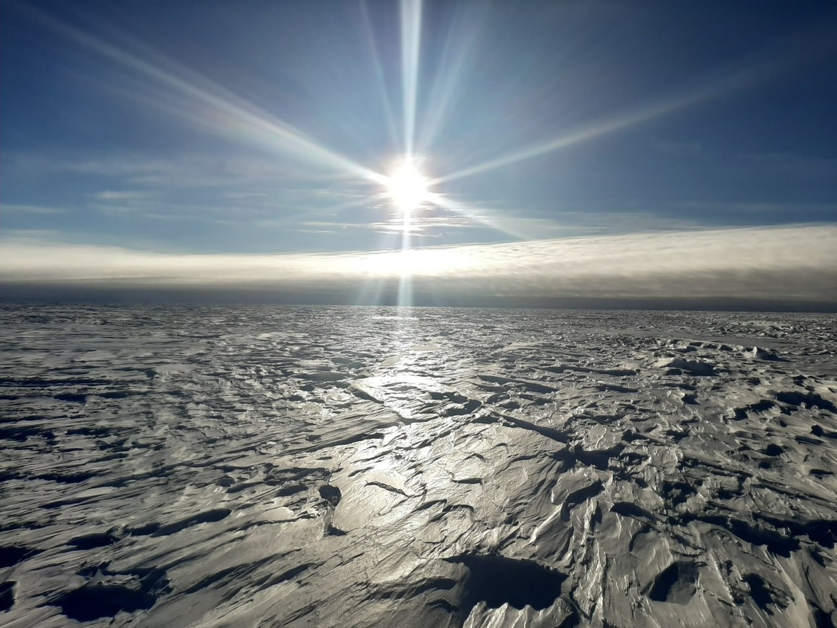    Снежинка: Дрейфующие станции на краю мира