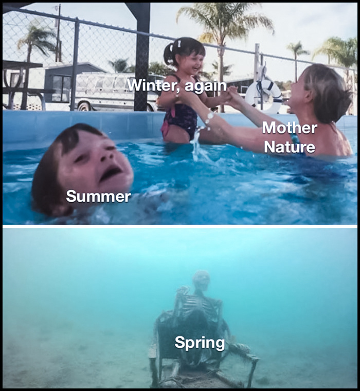 -11