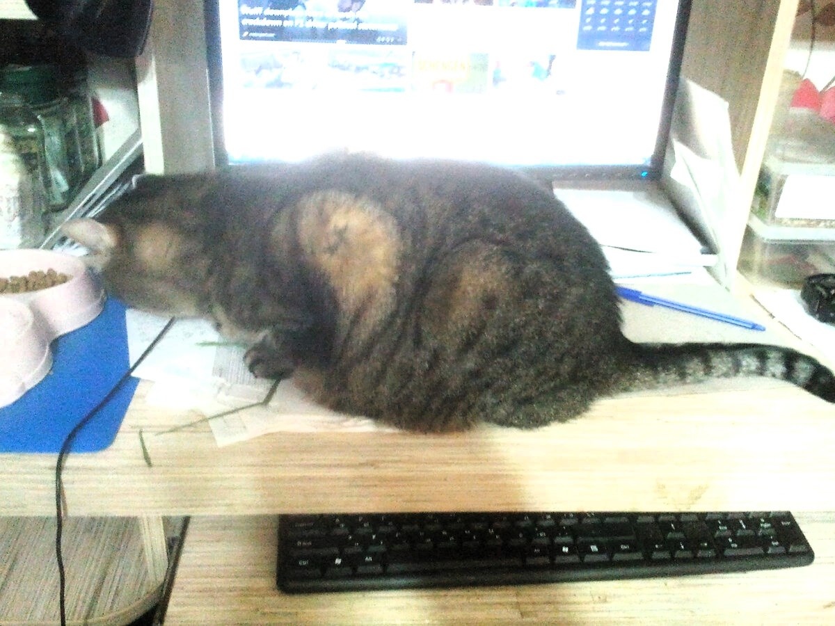 Фото автора