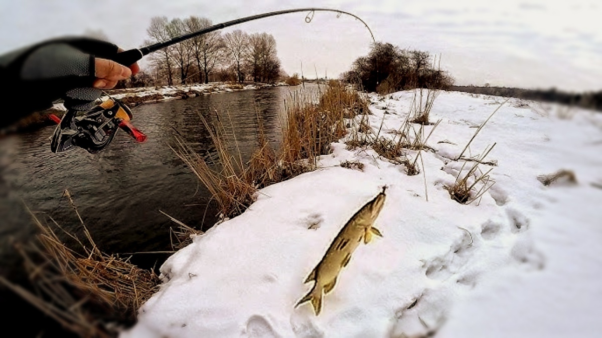 Как поймать щуку за утро в марте