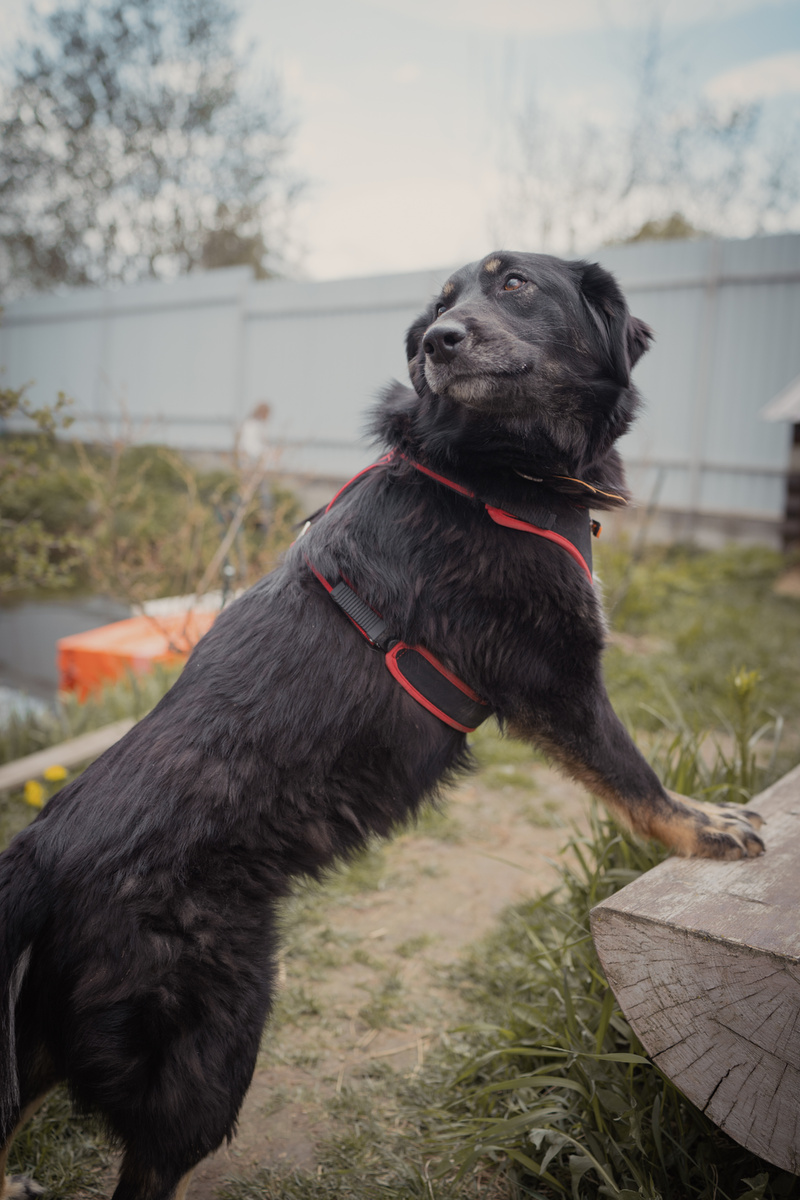 Мася - всегда такая Мася