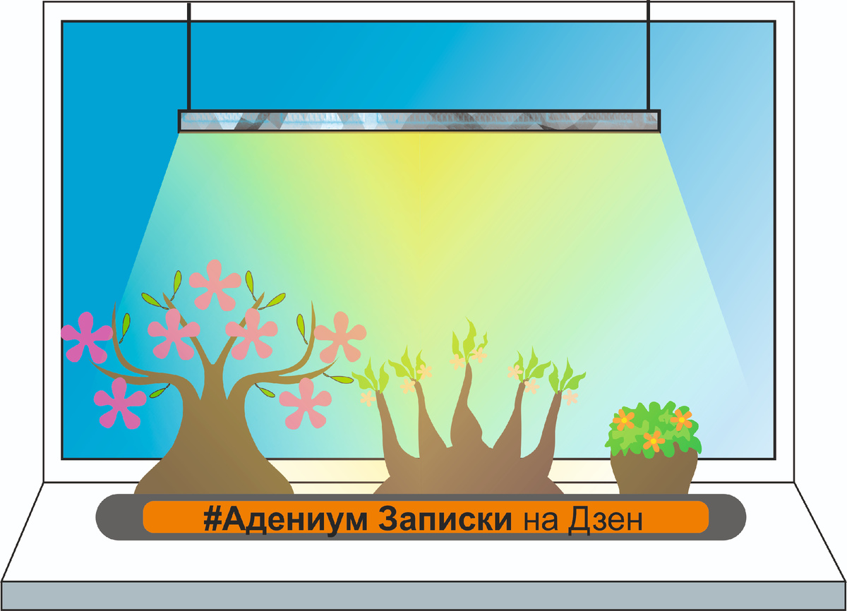 Искусственное освещение для адениума