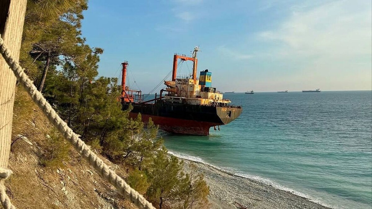    Фото: t.me/more_zov