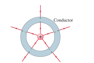 Рисунок 16-34. Заряд внутри электрически нейтральной сферической металлической оболочки индуцирует (наводит) заряд на ее поверхностях. Электрическое поле существует даже за пределами оболочки, но не внутри проводника.