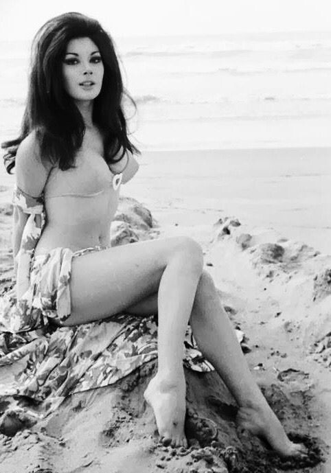 Эдвиж Фенек 1948