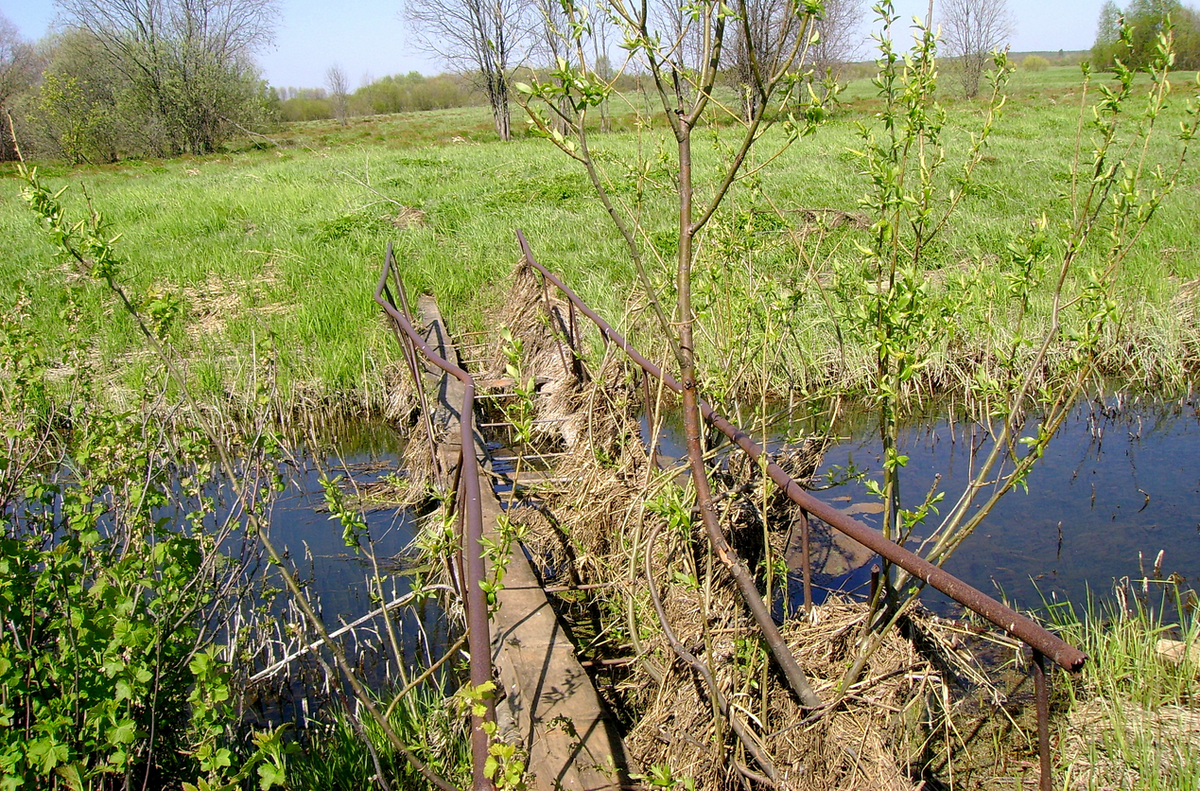 Мостик через Поташёвку у бывшей деревни Борносово