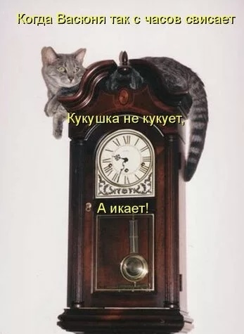 Удивительно-похожий снимок из интернета 