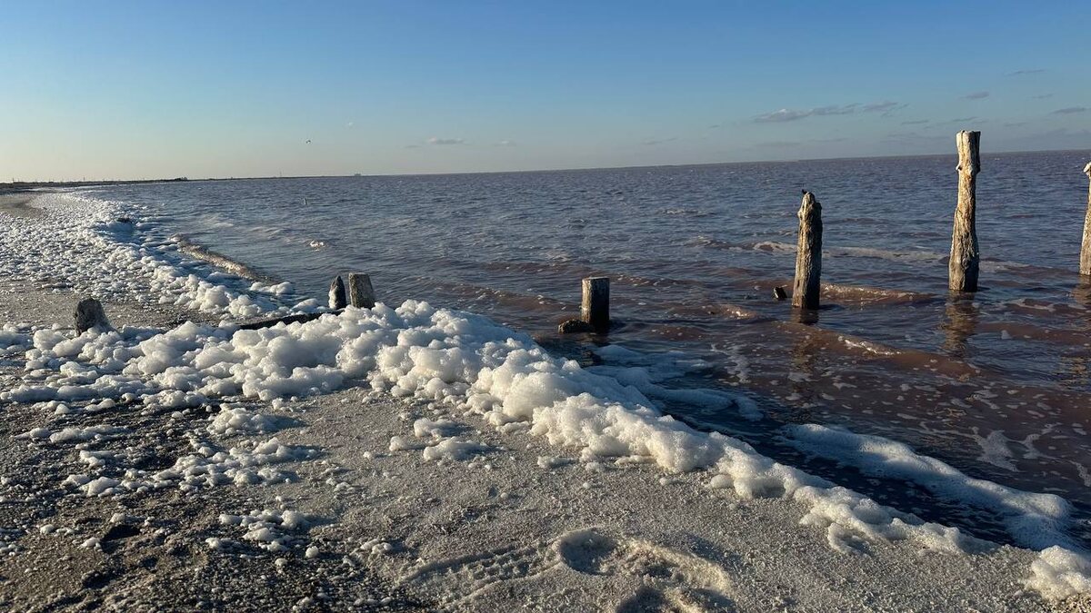                                                           Берег озера в феврале 2025 года 