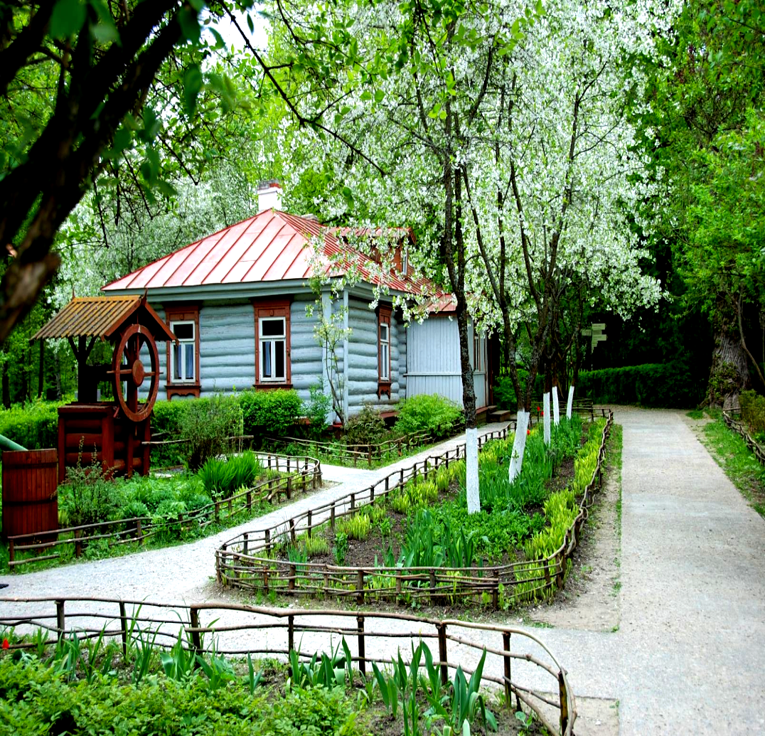 Фото из открытых источников