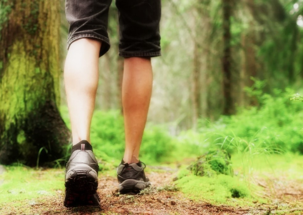 Многие недооценивают пользу ходьбы, но она действительно колоссальная.
