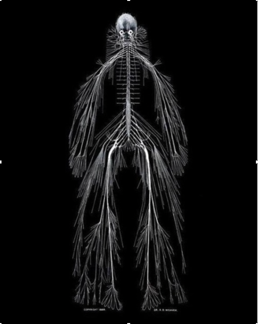 СЦУК выглядит именно так