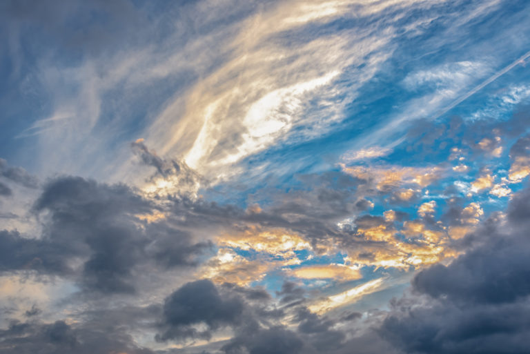    Фото: freepik.com Екатерина Шахнина