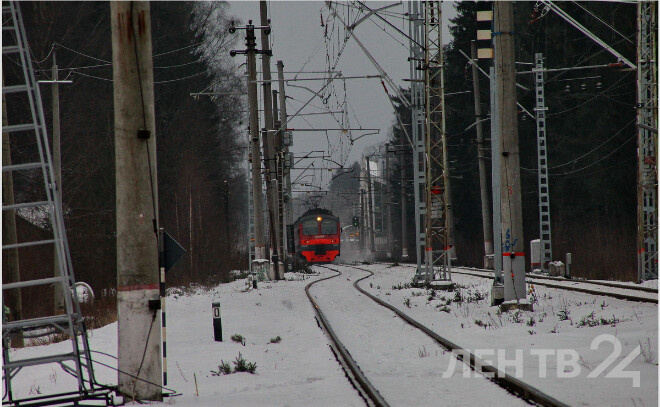    © Анастасия Илюшина / ЛенТВ24