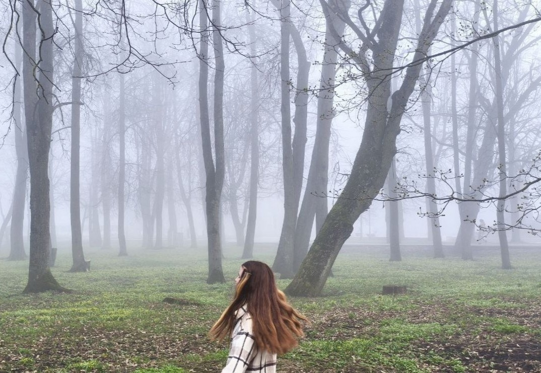 Такая интересная погода у нас была – густой туман. В парке необыкновенная красота. Фото автора