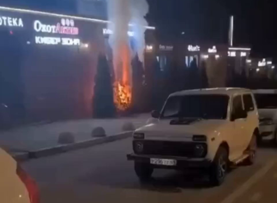     / Источник: © Соцсети. Кадр из видео