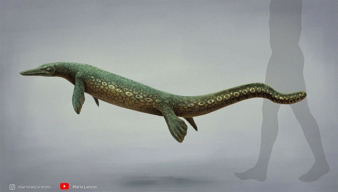 Парахупезух от Марио Ланзаса.