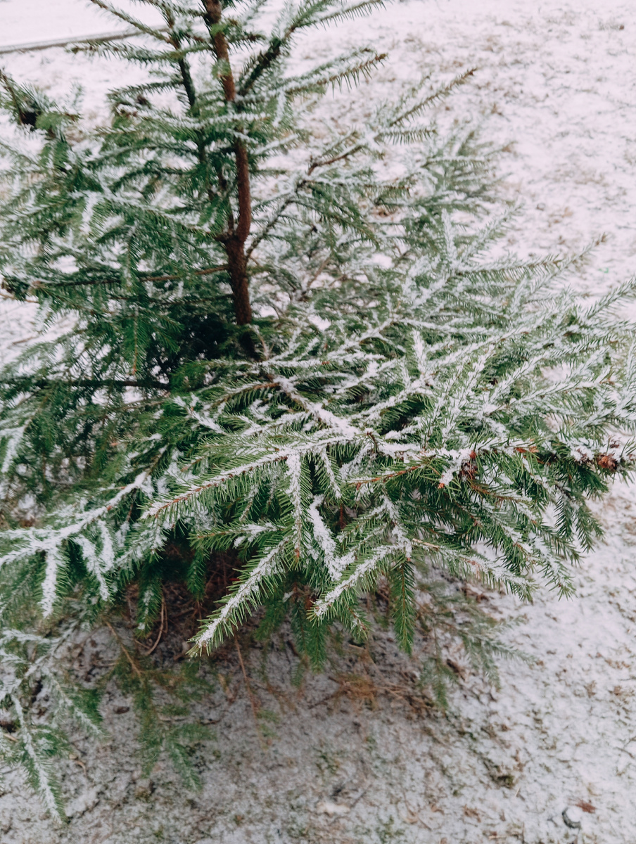 Личное фото автора канала