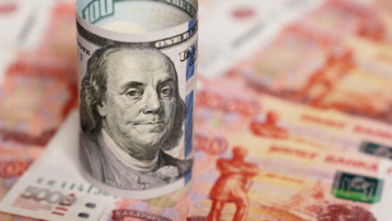    Госдолг России вырос в 2024 году на 13,5% ©Shutterstock / Fotodom