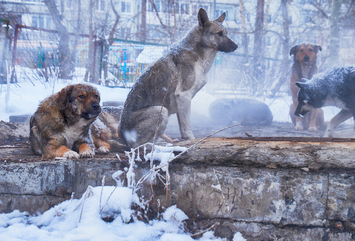 Фото: zastavkin/depositphotos
