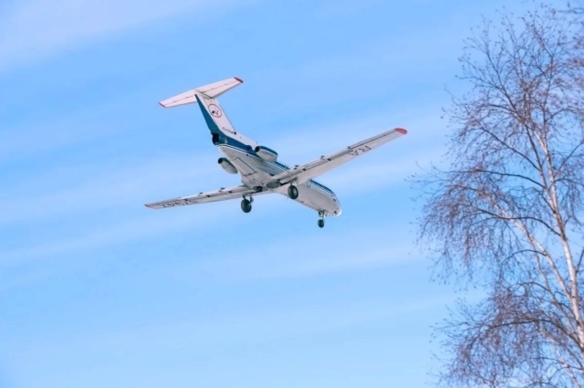    Врачи спасли жизнь камчатской девочке, в бронхах которой застряла семечка
