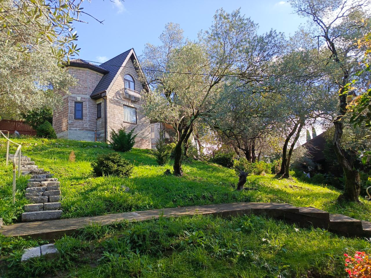 Из личного архива Анжелики Стражковой, Абхазия, 2024