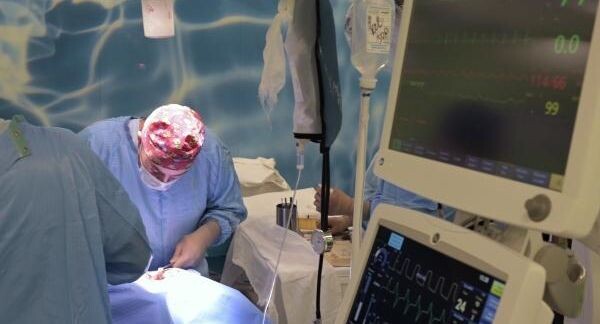    РИА «Новости»