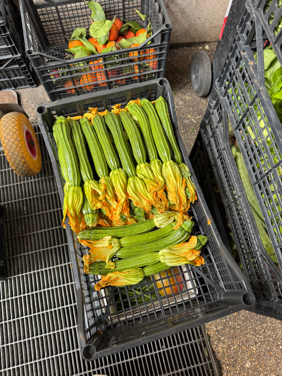 фото Сад в стиле Paradise @