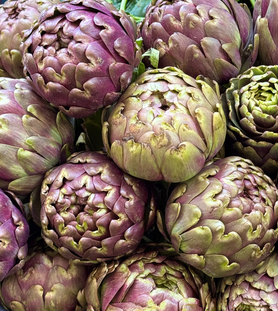 фото Сад в стиле Paradise @