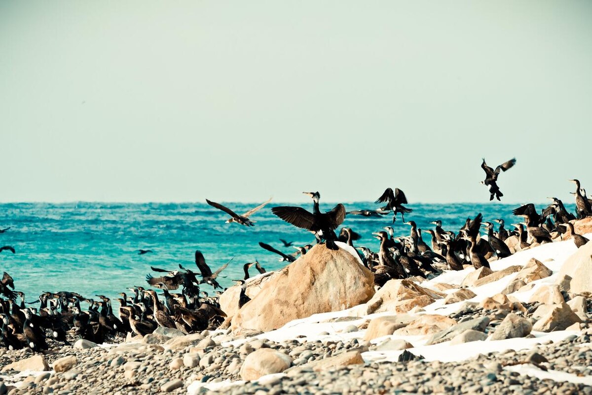     123RF/legion-media.ru