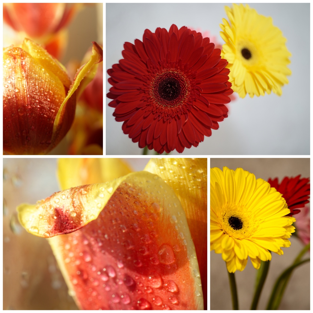 Краски новой весны