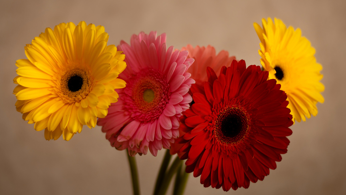 Цветочная тема