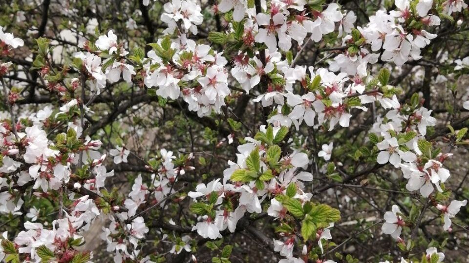     Источник: vostokmedia.com