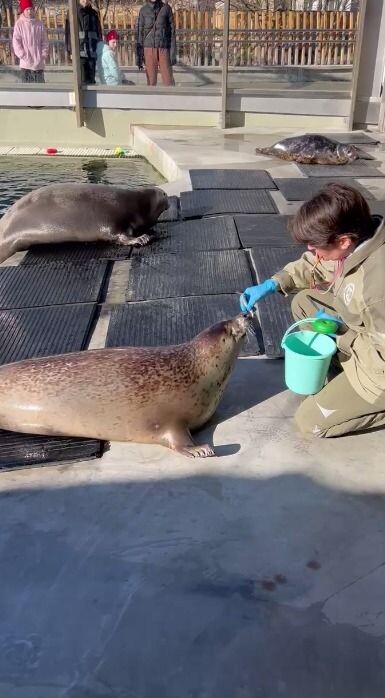     Источник: svetlanaakulova1