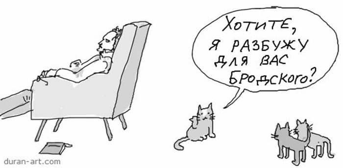 Анализ стихотворения диссидента И. Бродского
