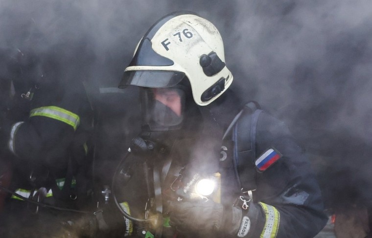    Алексей Белкин/NEWS.ru