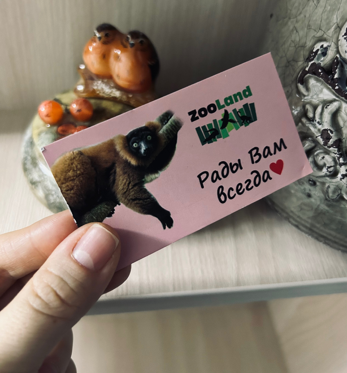 Фотография автора канала. Не реклама!