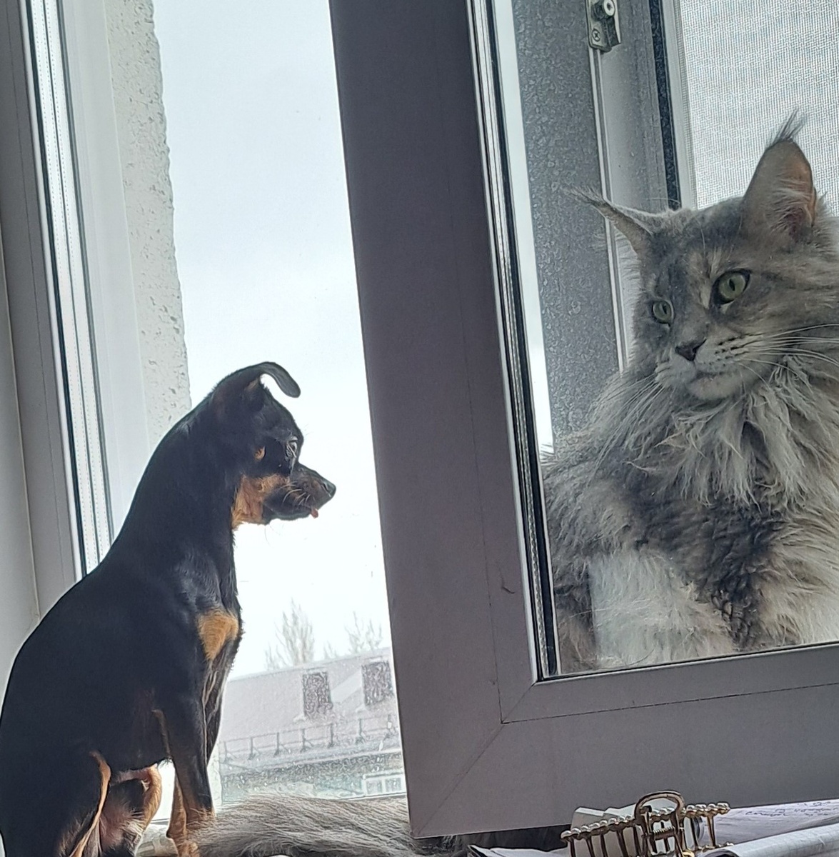 фото из личного архива