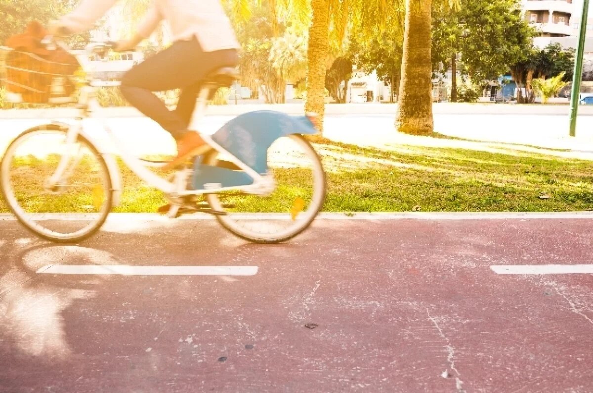    В Роспотребнадзоре рассказали, как правильно выбрать велосипед