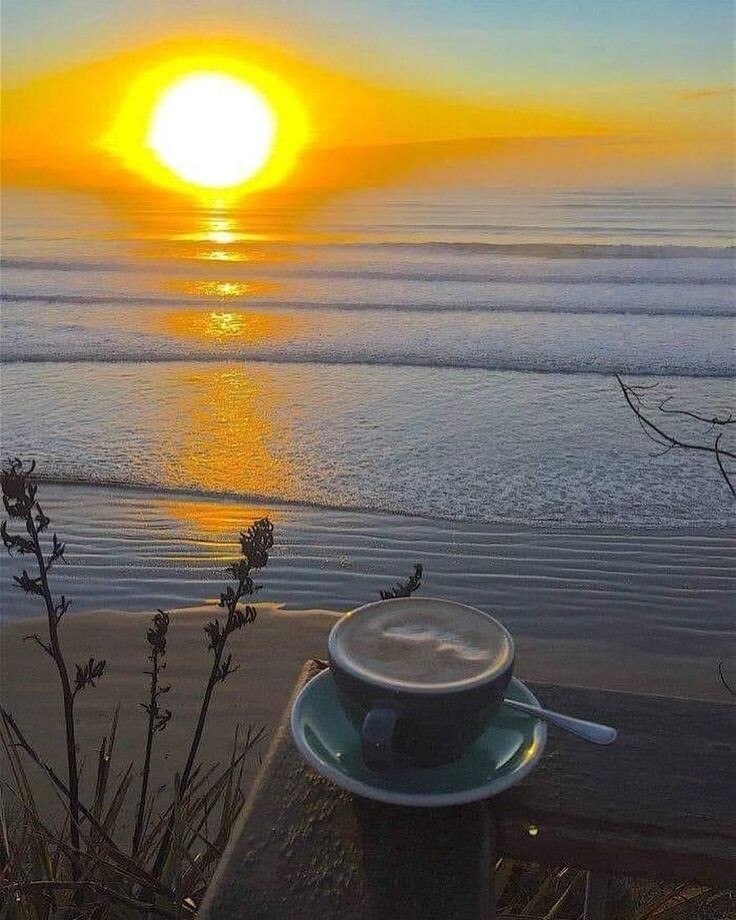 Яндекс Открытый источник 