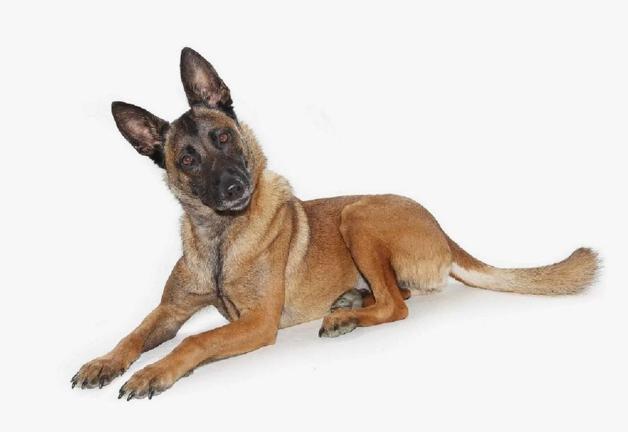 Да-да, это всё она!