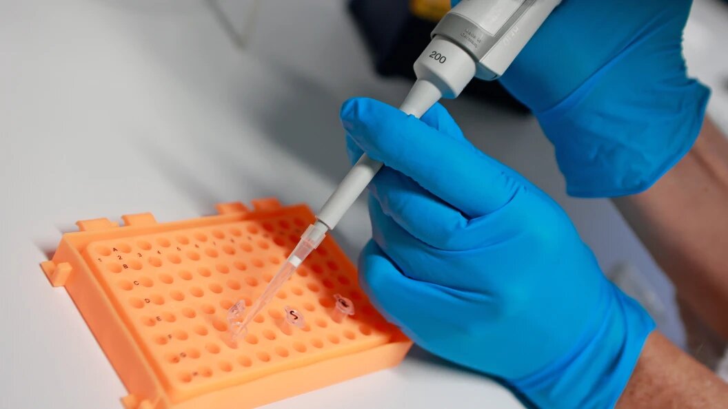    Matthias Bein/dpa/Globallookpress