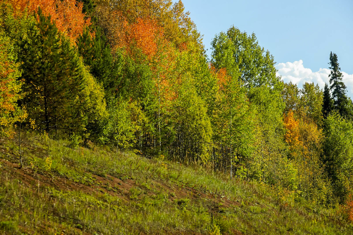 К тушению лесных пожаров в этом году готовы более 400 специалистов.  Фото: ФедералПресс / Елена Майорова