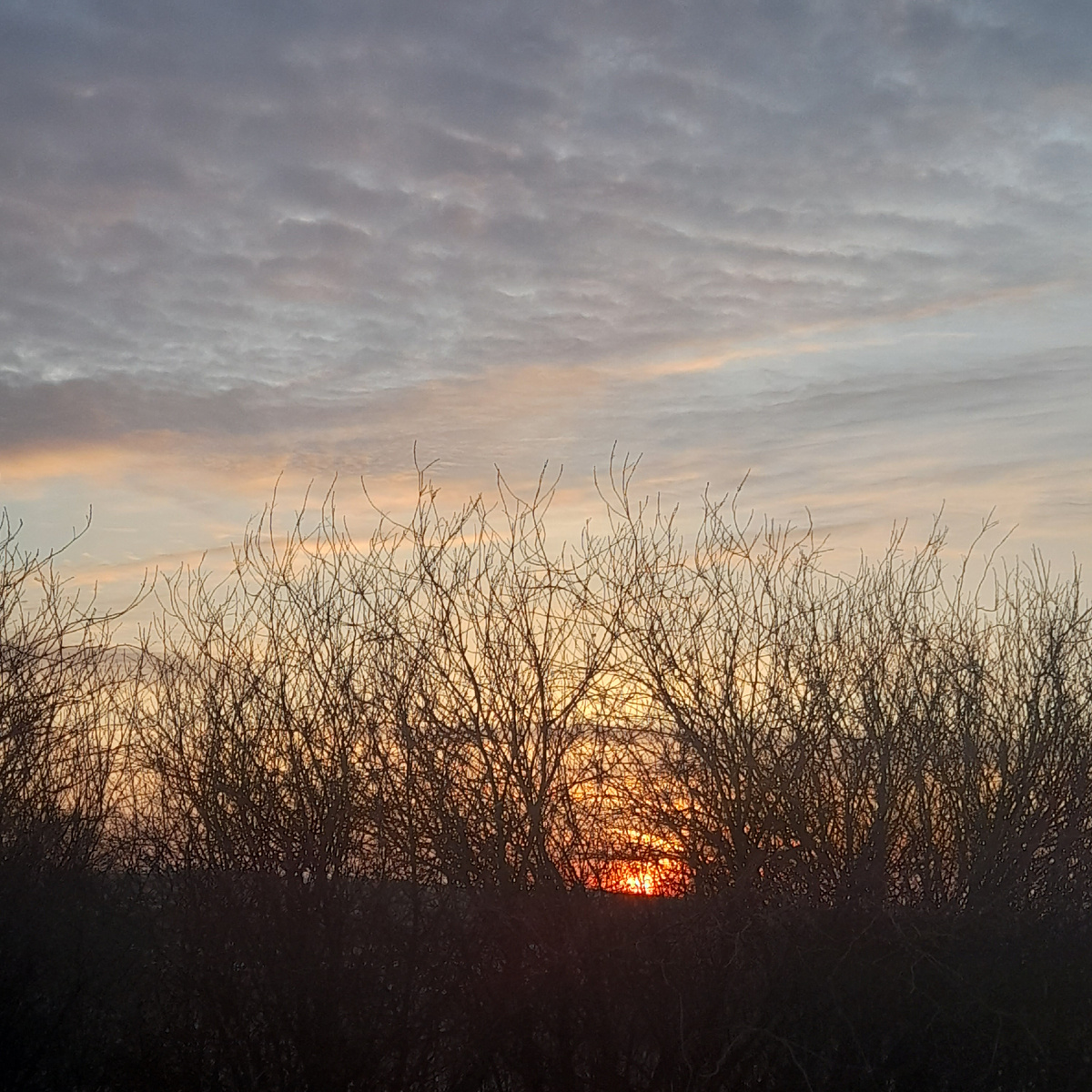 Вот он ,новый день.