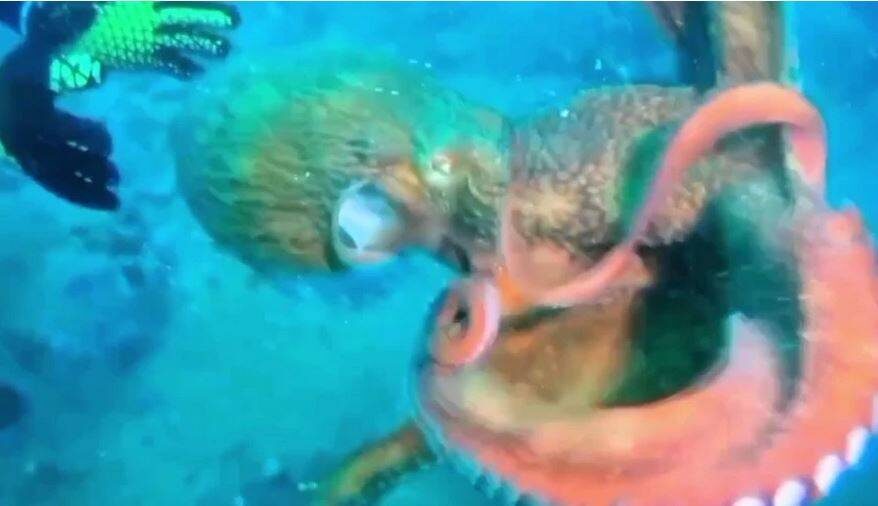    Источник фото: