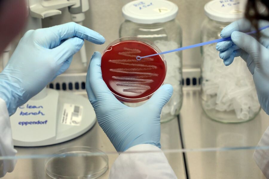     / Источник: © Wolfgang Kumm/DPA/TASS