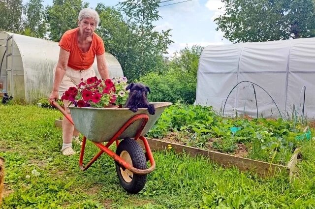    Конон Огородник. Какие православные праздники сегодня, 18 марта?