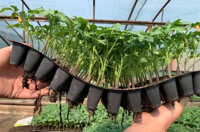    Фото: Из личного архивa/ Юрий Спарков