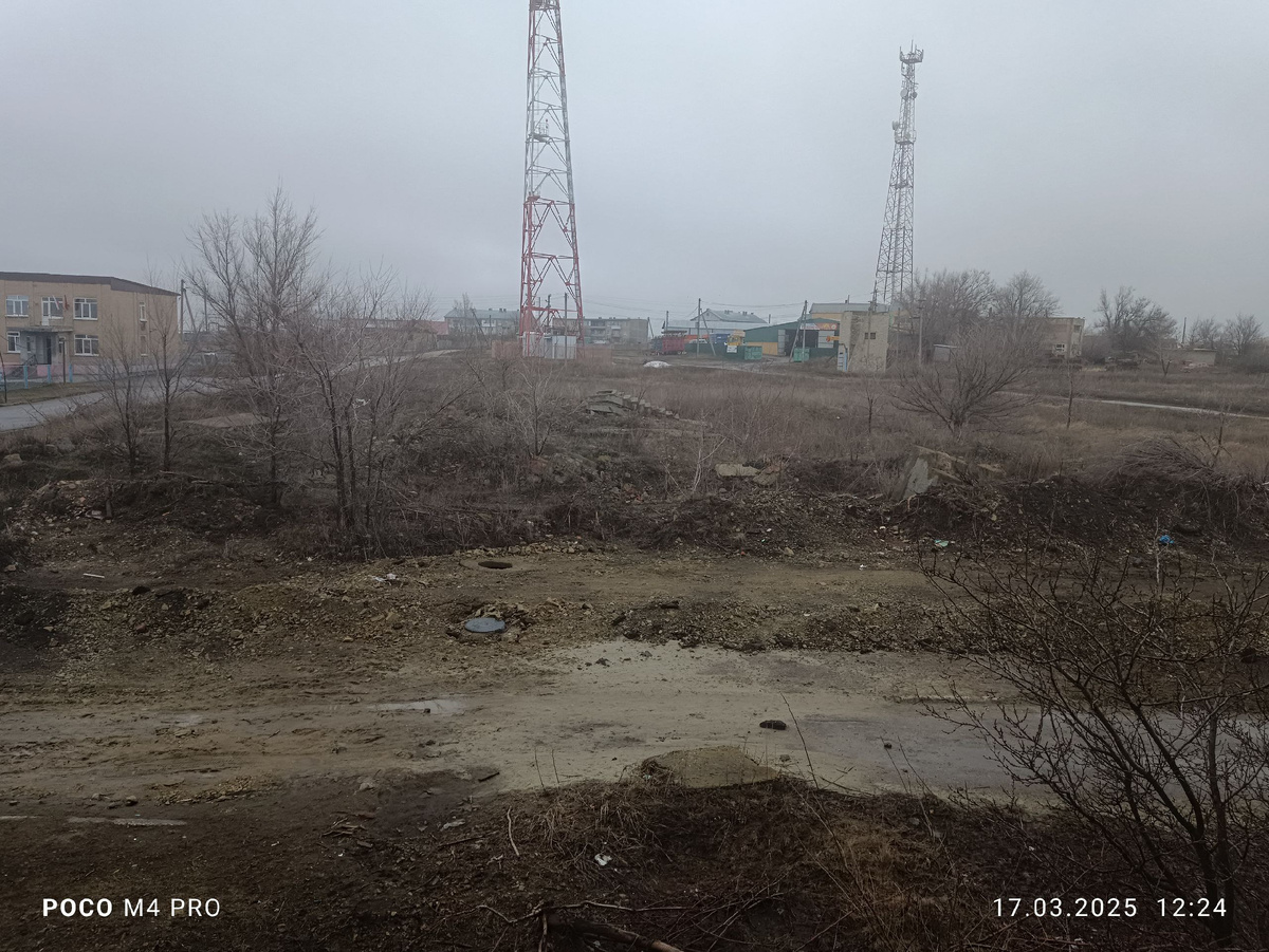 веселуха редкостная...